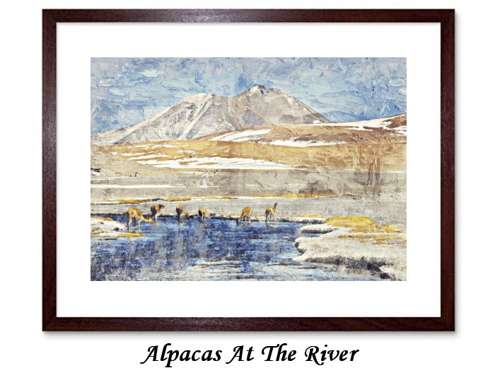 Alpacas At The River Framed Print